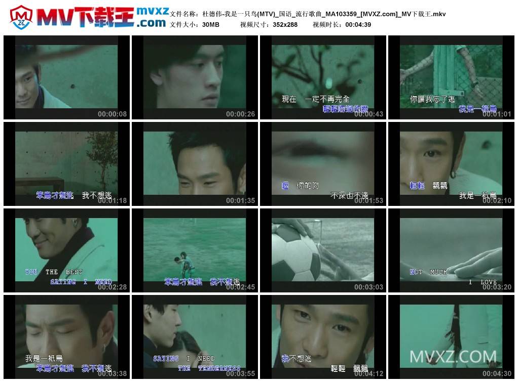 杜德伟-我是一只鸟(MTV)_国语_流行歌曲_MA103359